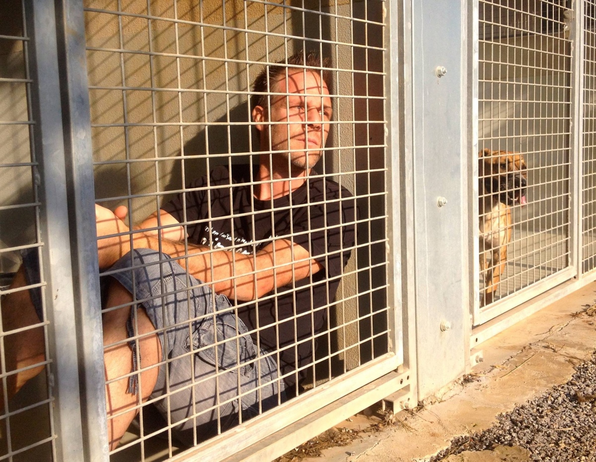 #RemiEnCage pour les animaux de la SPA de Montpellier !